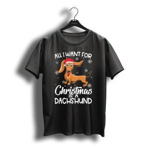All I Want For Christmas Is A Dachshund With Santa Hat And Snowflakes T-Shirt