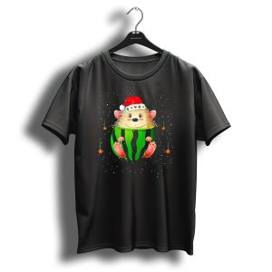 Christmas Hedgehog In Festive Watermelon Stocking With Santa Hat And Stars T Shirt