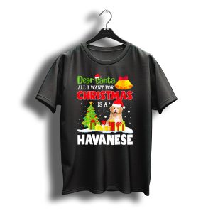 Dear Santa All I Want For Christmas Is A Havanese T-Shirt