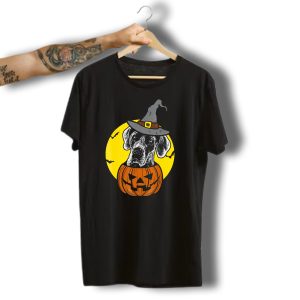 Great Dane Pumpkin Witch Halloween Scary T-Shirt