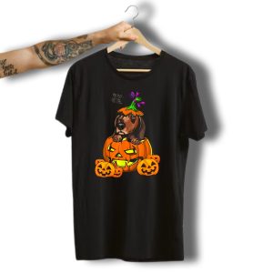 Halloween Dachshund With Jack O' Lantern Pumpkin And Bat Decor T-Shirt