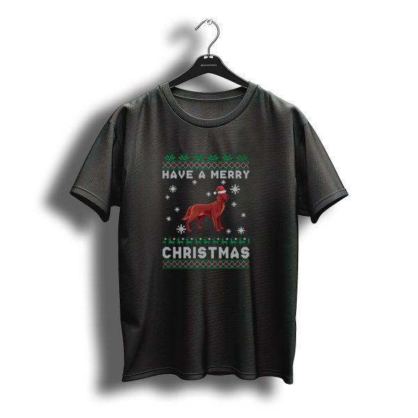 Have A Merry Christmas Irish Setter Santa Hat Snowflakes T Shirt t shirt 1