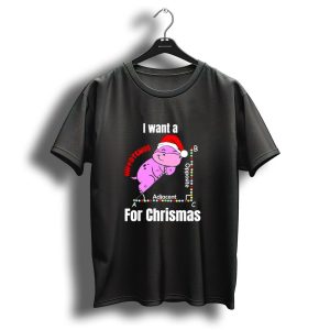 I Want A Hippotenuse Abc Adjacent Opposite For Christmas Cute Hippo T-Shirt