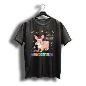 I Want A Rabbit For Christmas Santa Hat String Lights Snowflakes T-Shirt