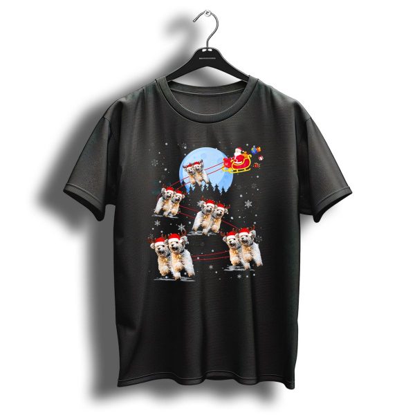Poodle Reindeer Santa Sleigh Under Moonlight Christmas Scene T Shirt 1 t shirt 1