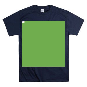 Proud Grandma South Carolina Gamecocks Football Fan Family T-Shirt