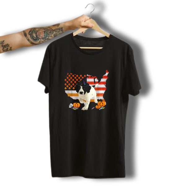 Sprollie Dog In Witch Hat Halloween Usa Flag With Pumpkins And Candy T Shirt t shirt 1